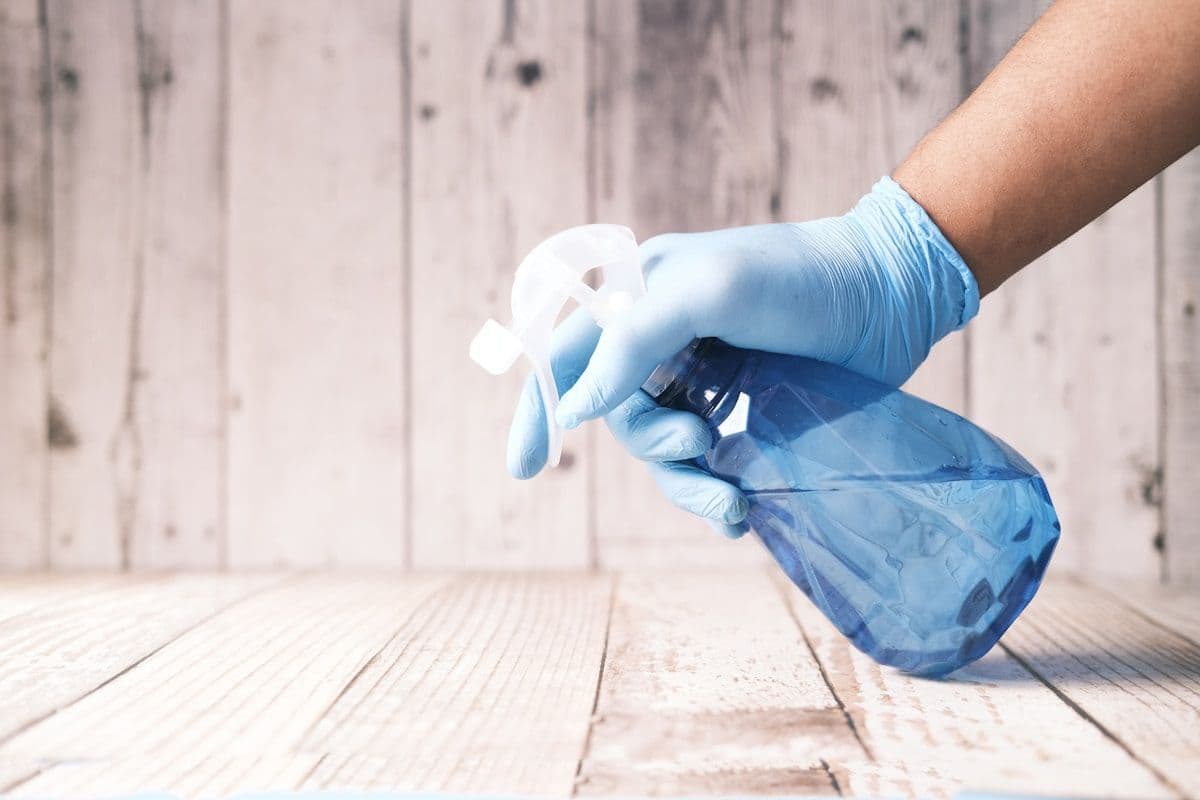 Cleaning spray and cloth used during spring cleaning